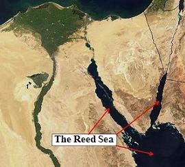 The Reed Sea