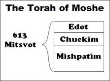 Moshe's Torah